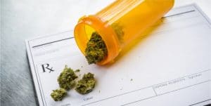 Is Marijuana Legal in the State of Florida?